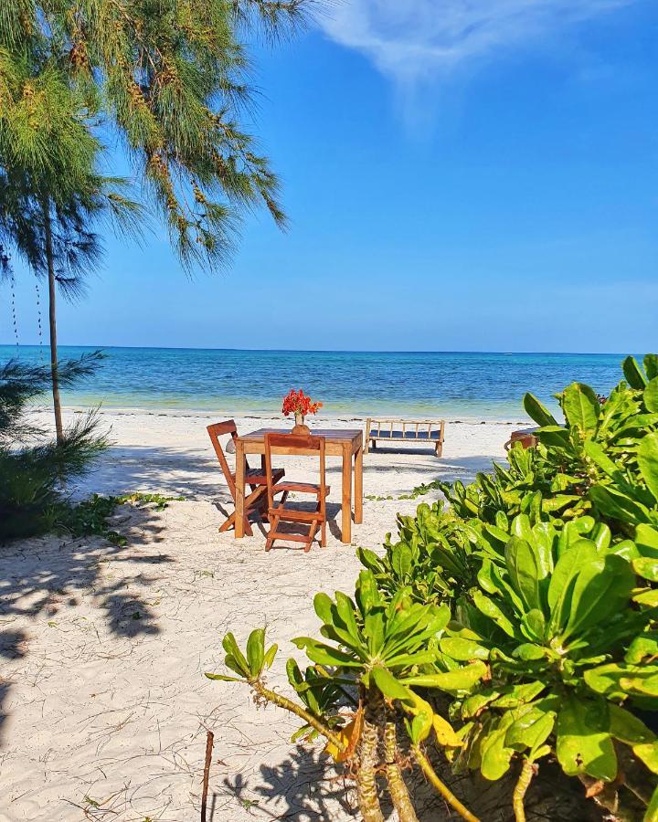 Blue Palm Zanzibar Bed & Breakfast Bwejuu Eksteriør bilde